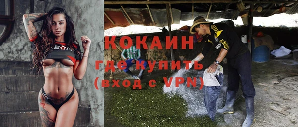 сатива Нея
