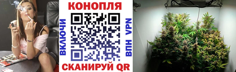 купить наркотик  Порхов  Бошки марихуана семена 